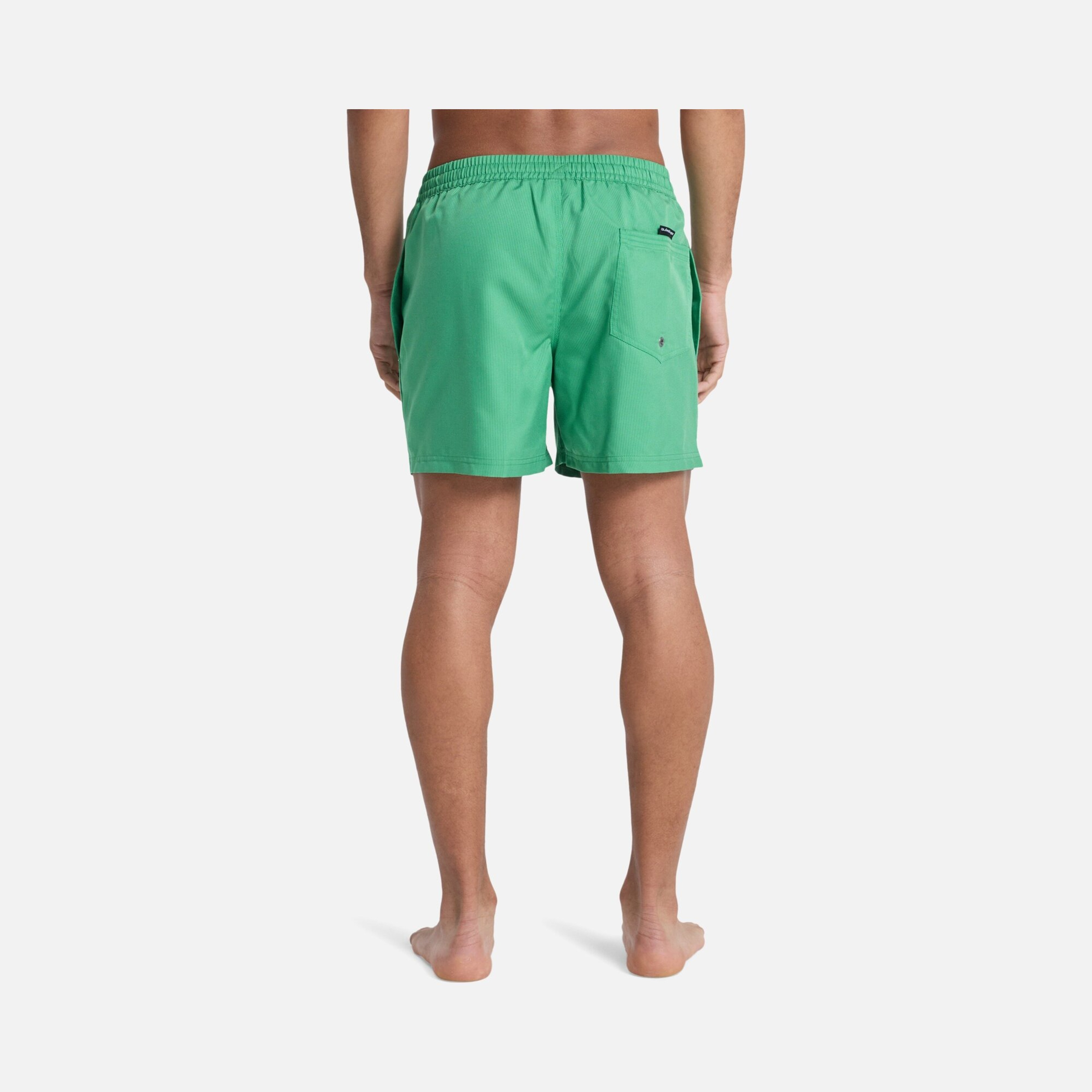 Quiksilver Everyday Deluxe Volley 15 Erkek Şort Mayo