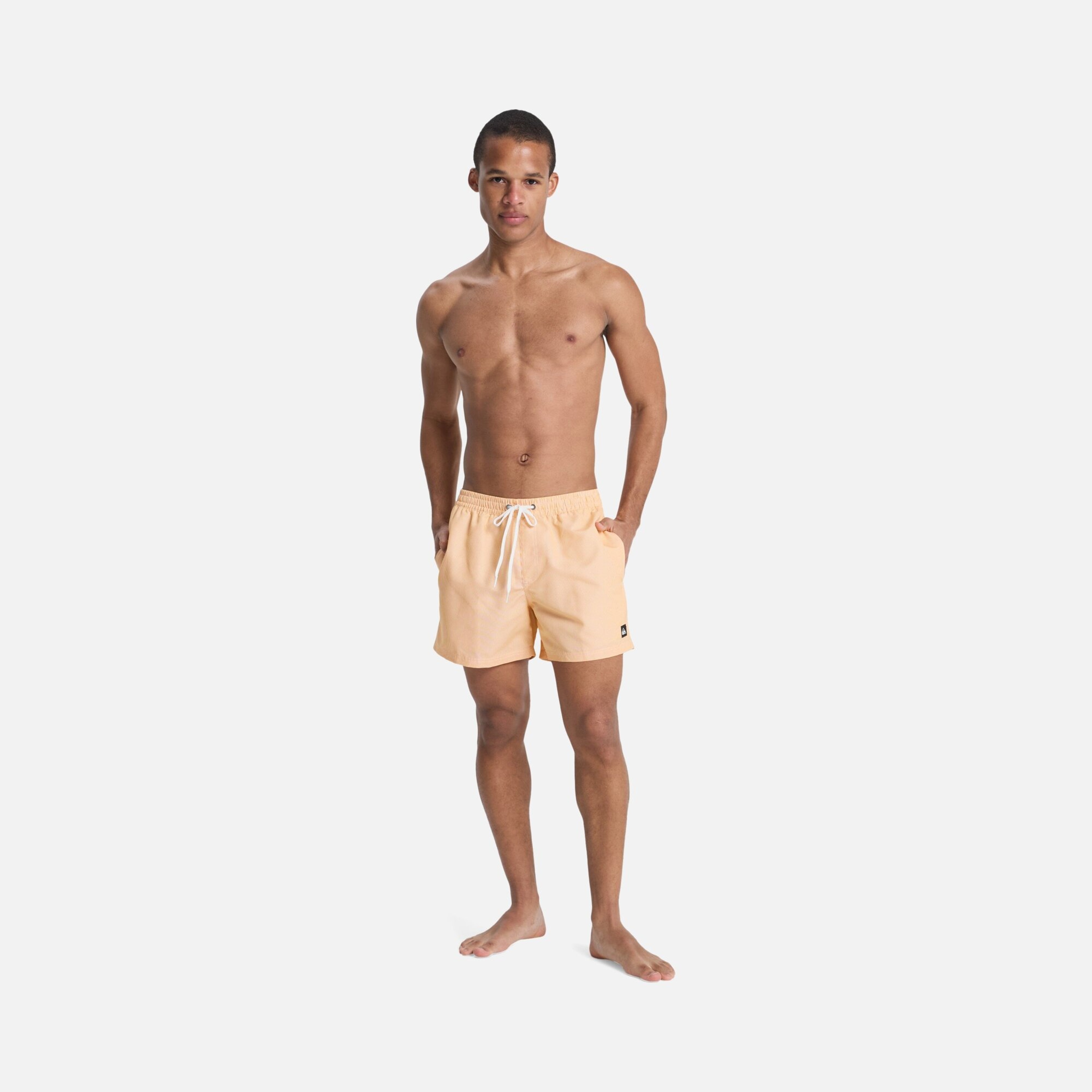 Quiksilver Everyday Deluxe Volley 15 Erkek Şort Mayo