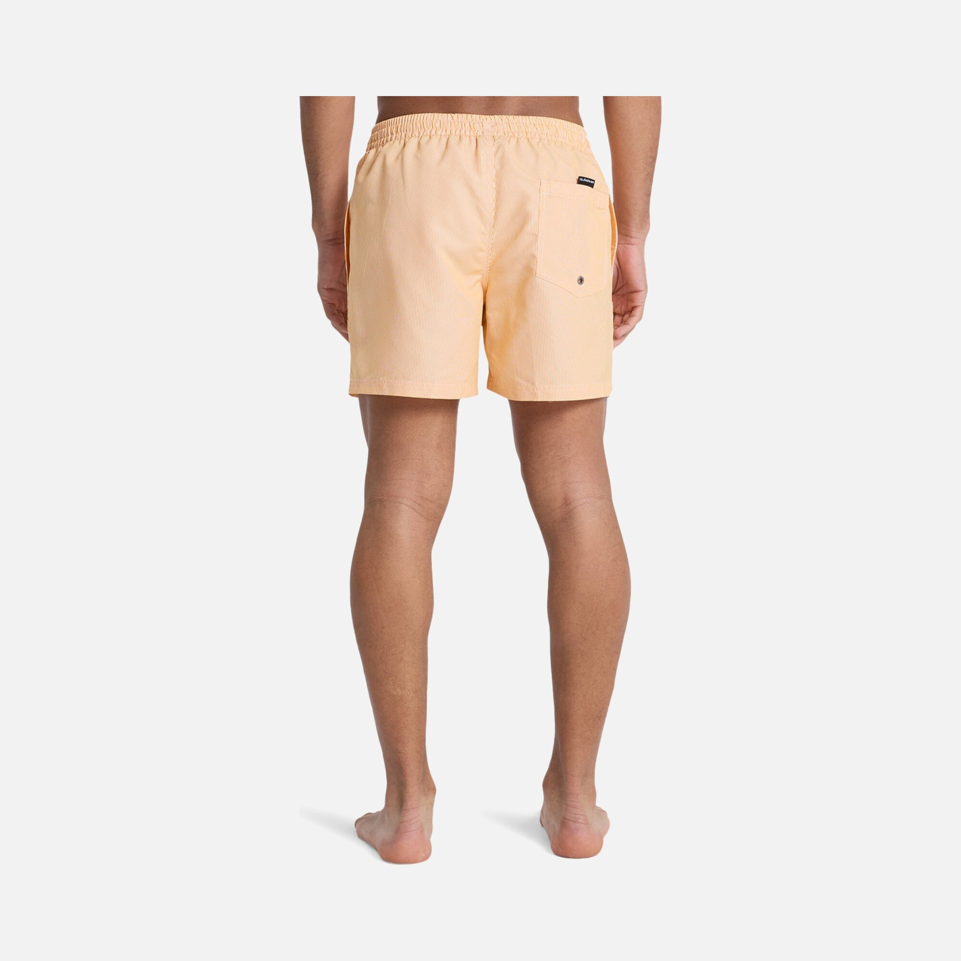 Quiksilver Everyday Deluxe Volley 15 Erkek Şort Mayo