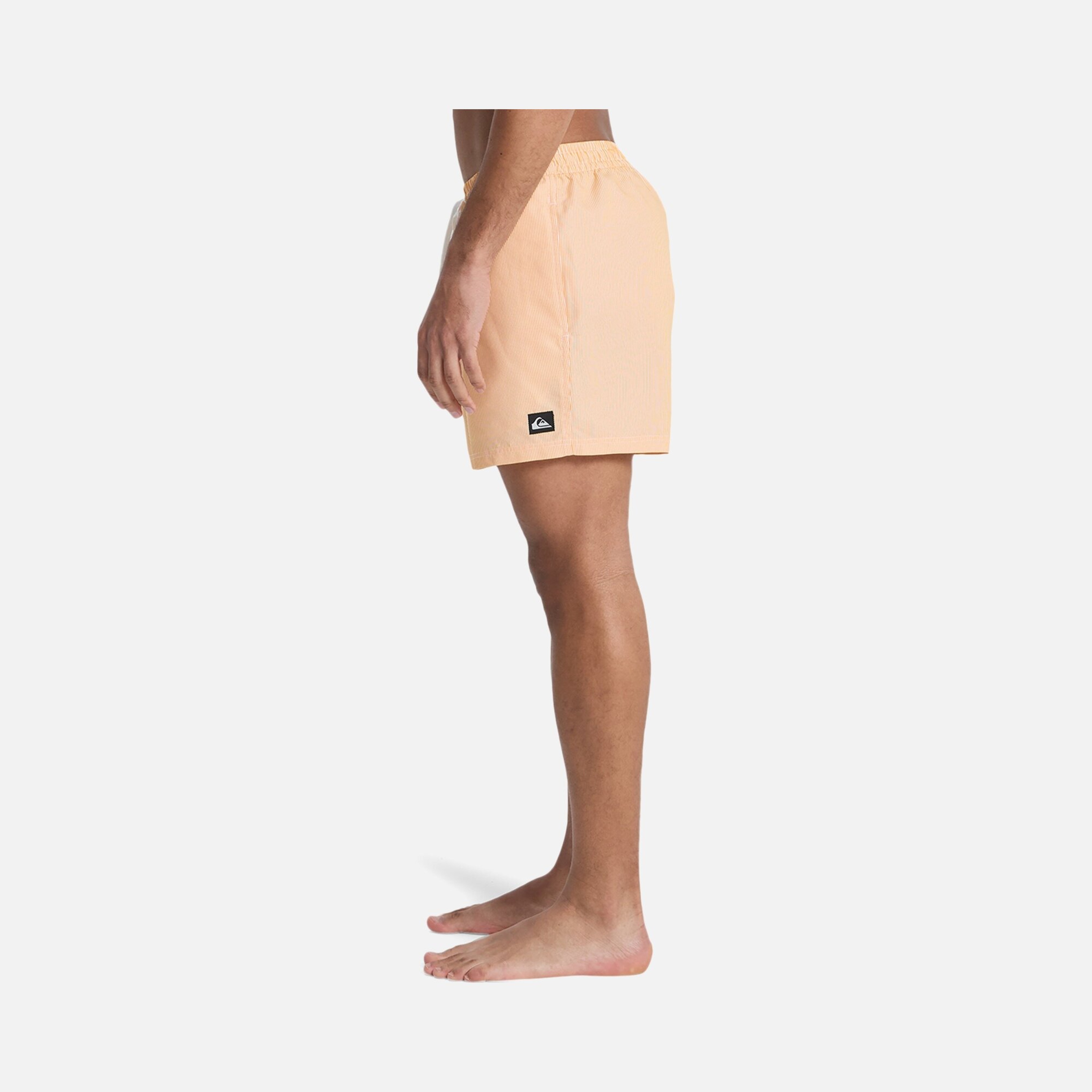 Quiksilver Everyday Deluxe Volley 15 Erkek Şort Mayo