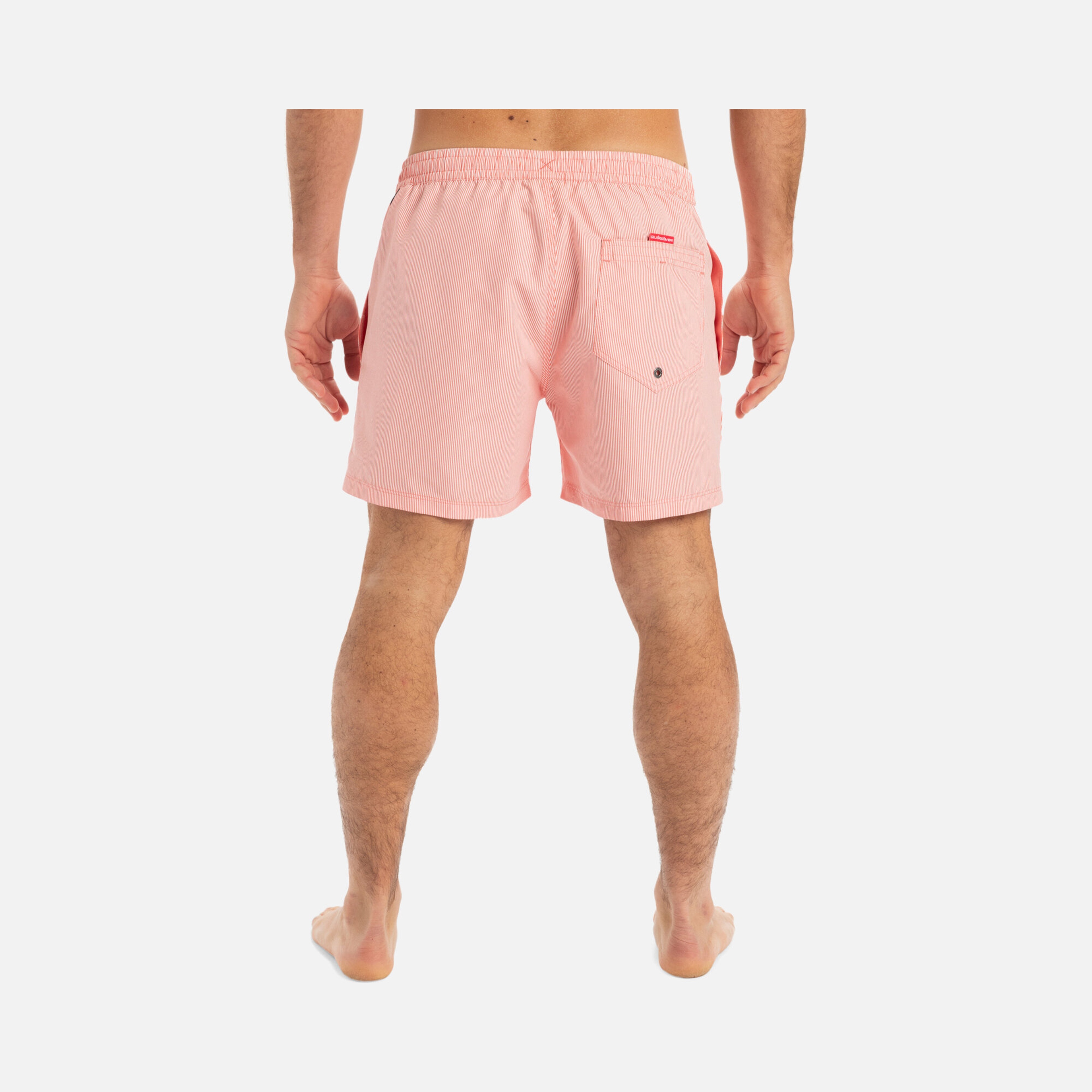 Quiksilver Everyday Deluxe Volley 15 Erkek Şort Mayo
