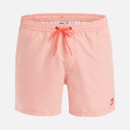 Quiksilver Everyday Deluxe Volley 15 Erkek Şort Mayo