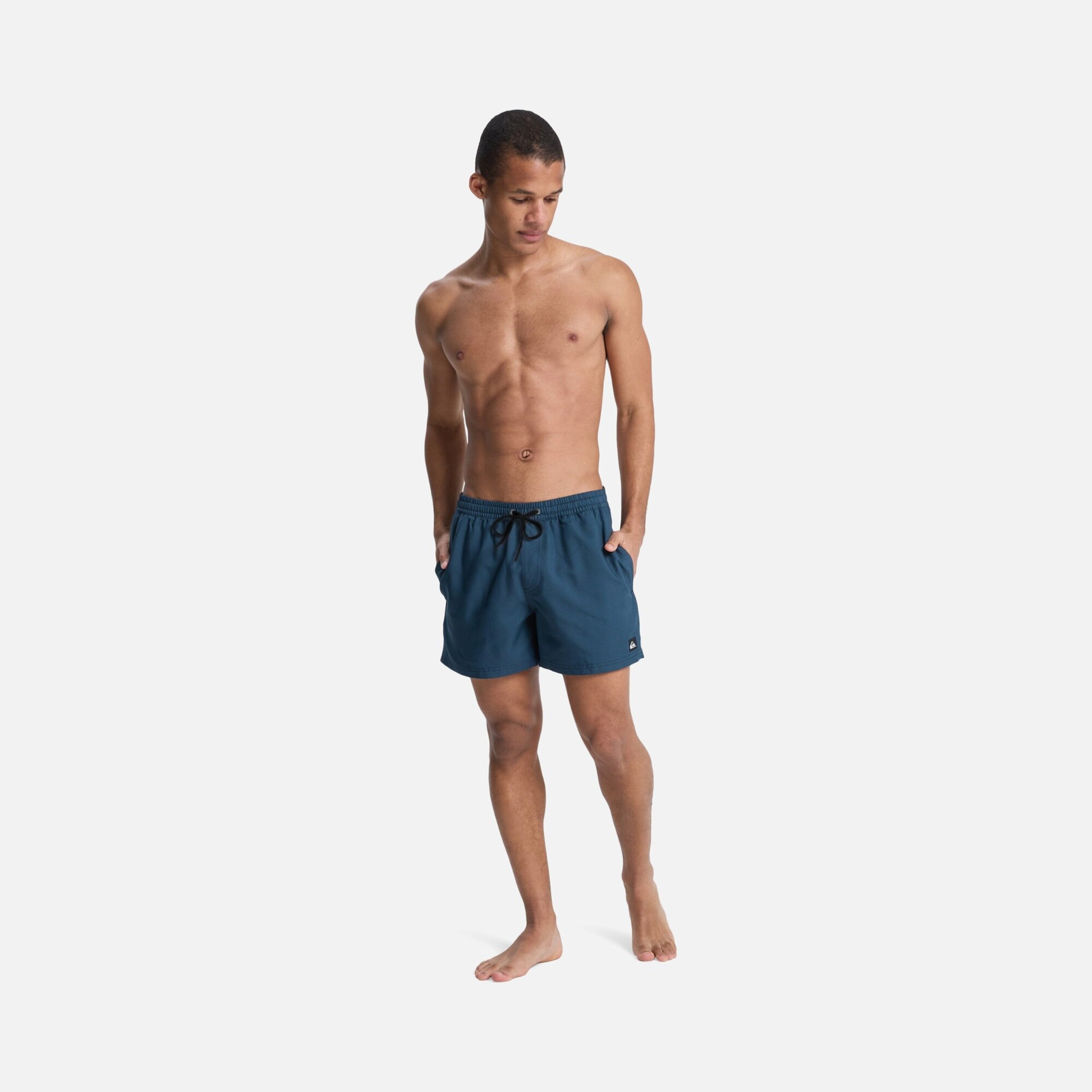 Quiksilver Everyday Deluxe Volley 15 Erkek Şort Mayo