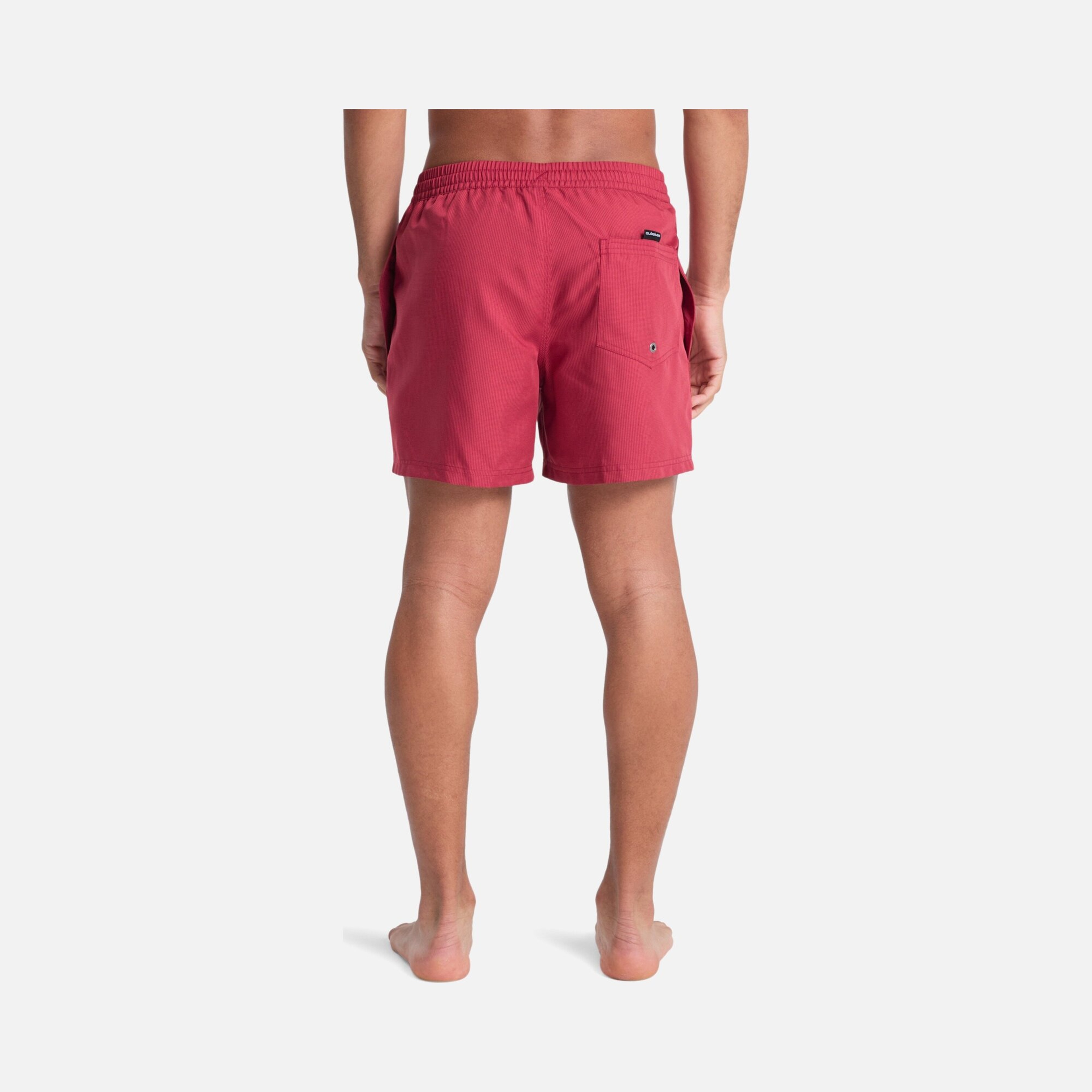 Quiksilver Everyday Deluxe Volley 15 Erkek Şort Mayo