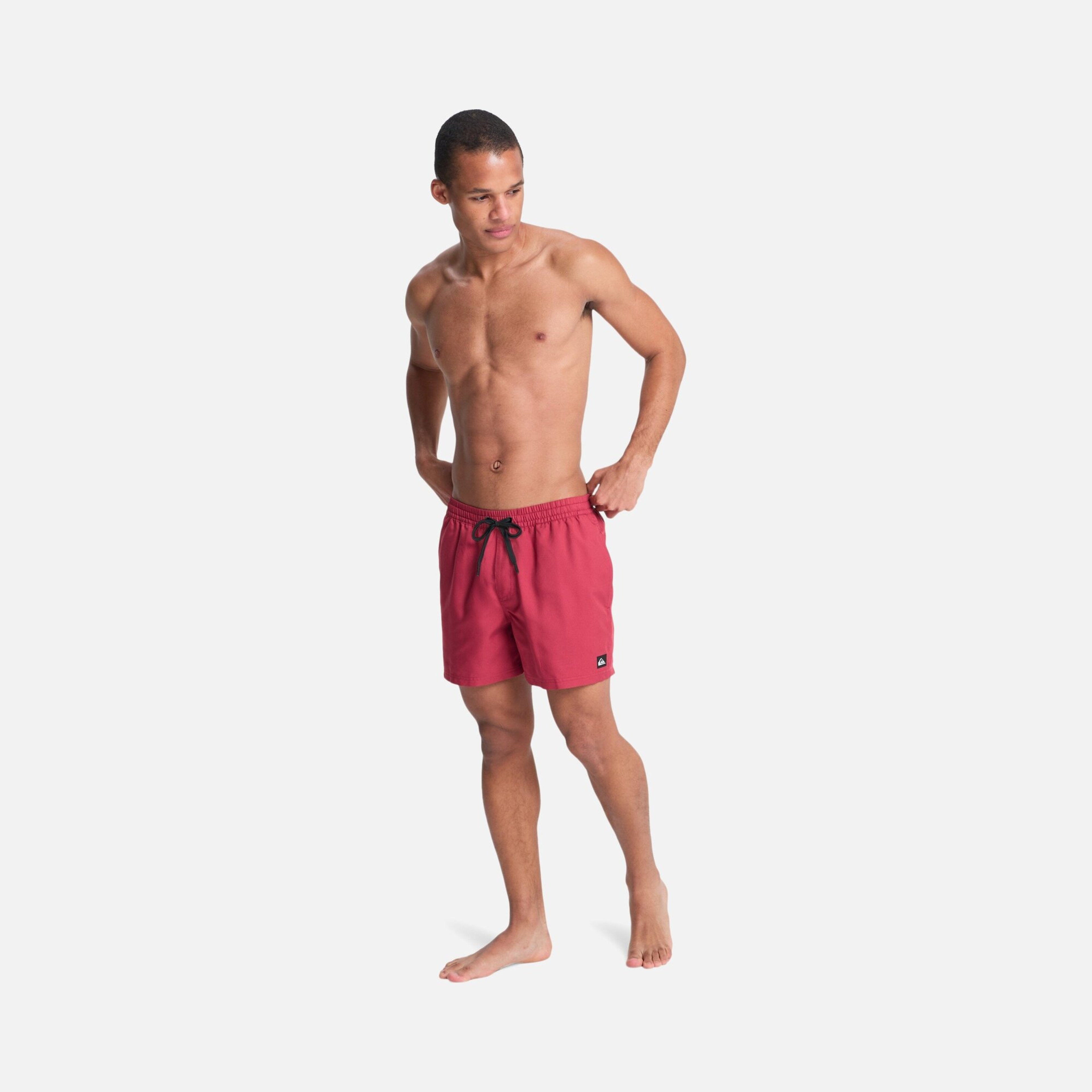 Quiksilver Everyday Deluxe Volley 15 Erkek Şort Mayo