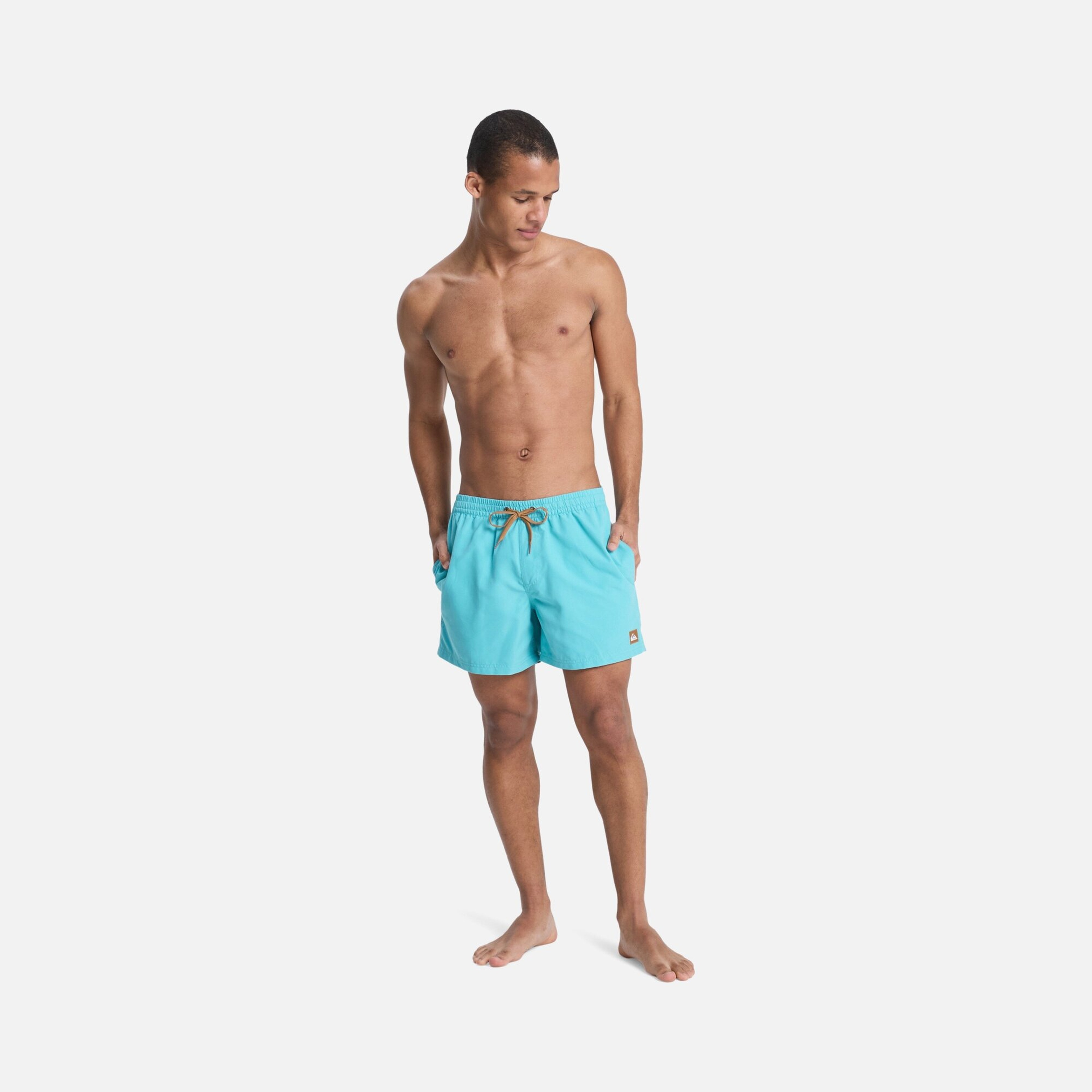 Quiksilver Everyday Solid Volley 15 Erkek Şort Mayo