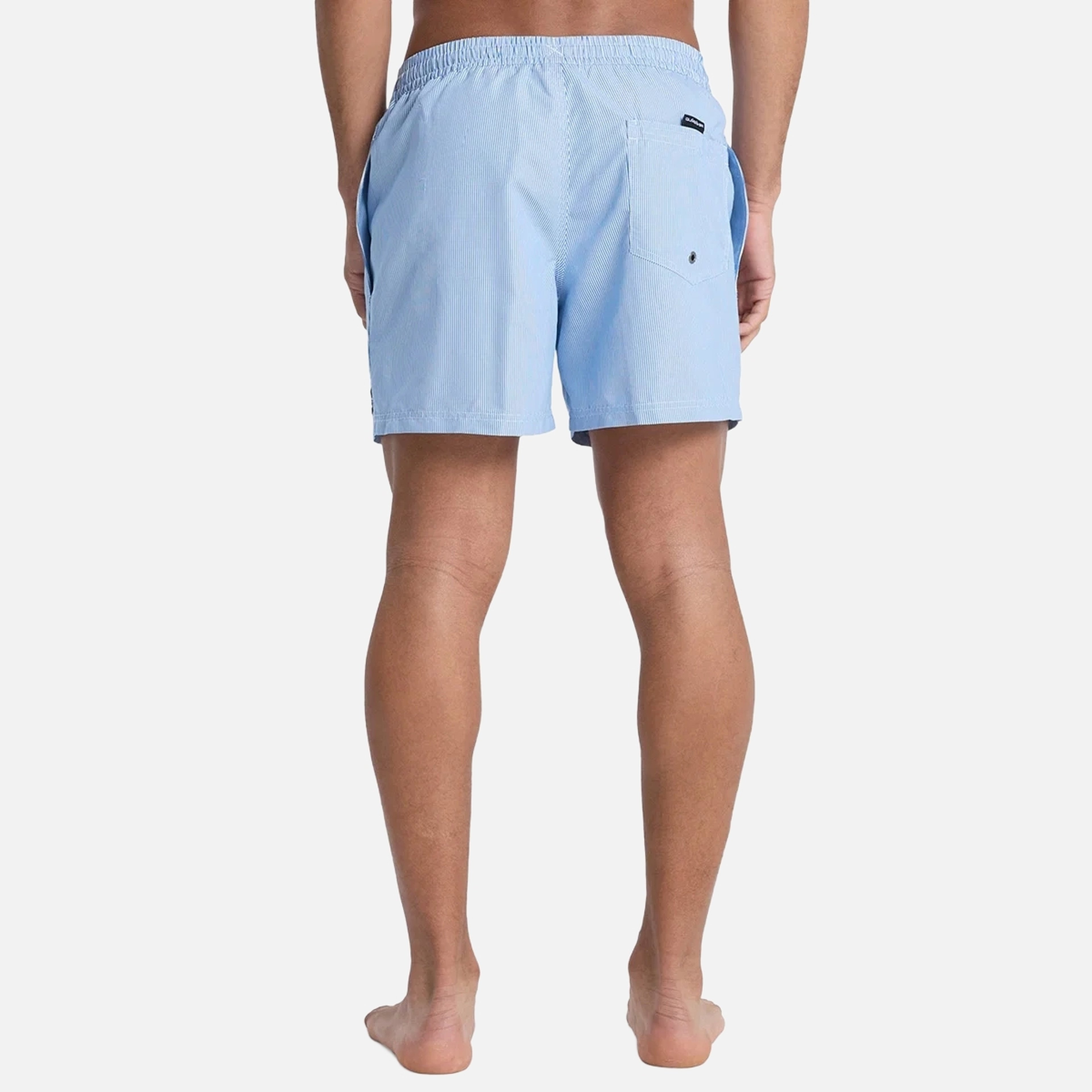 Quiksilver Everyday Deluxe Volley 15 Erkek Şort Mayo