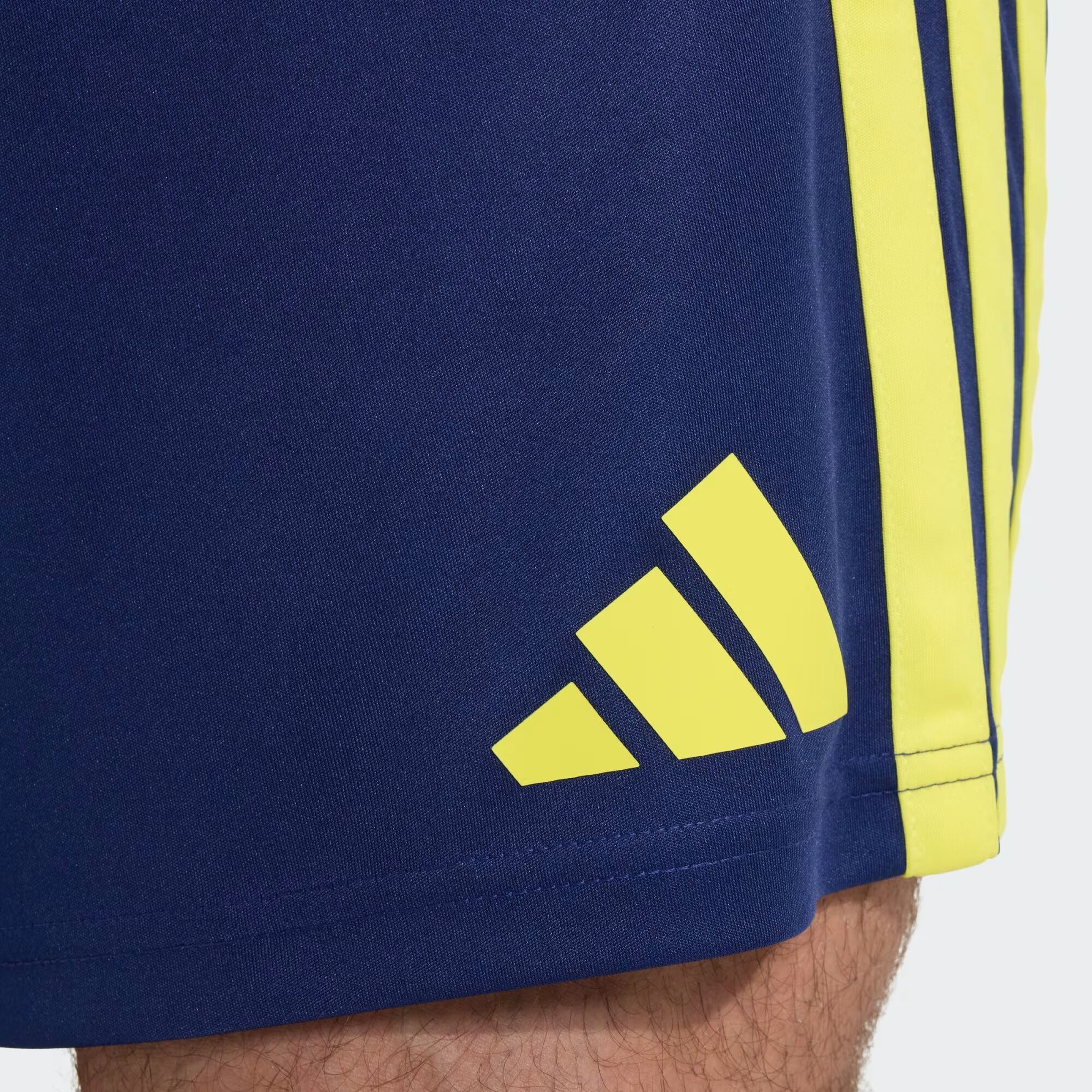 adidas Fenerbahçe 26/27 İç Saha Erkek Şort