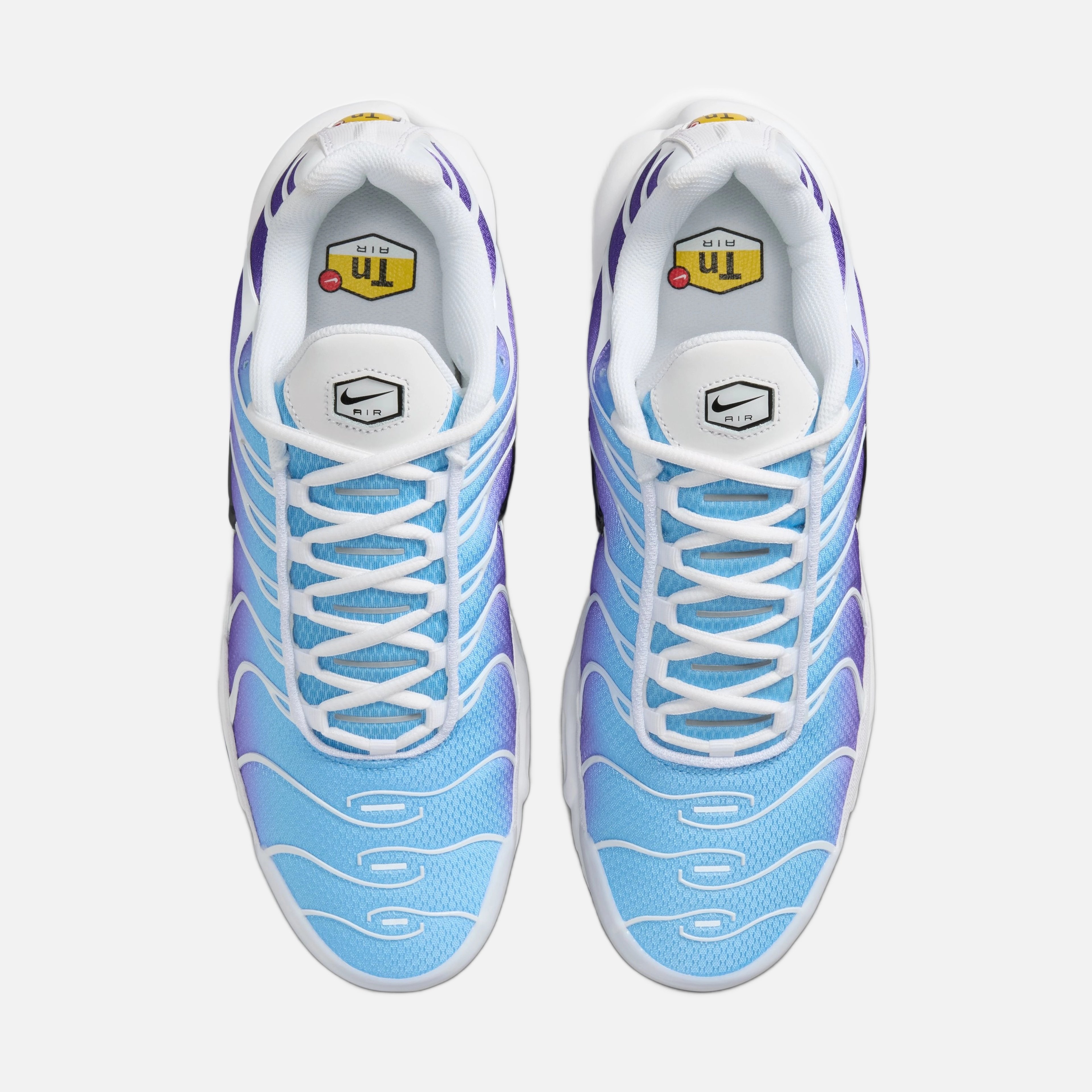 Nike Air Max Plus Erkek Spor Ayakkabı