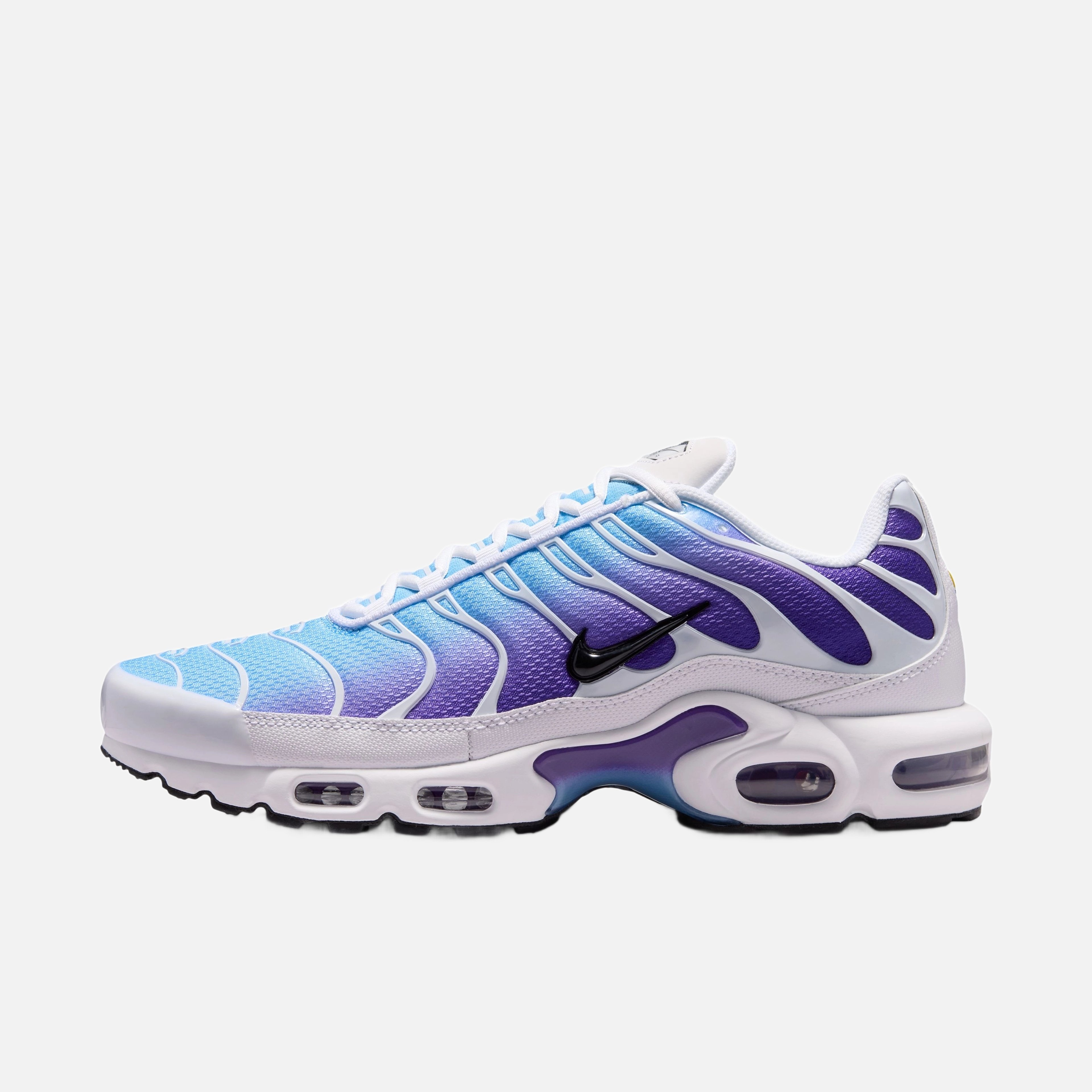 Nike Air Max Plus Erkek Spor Ayakkabı