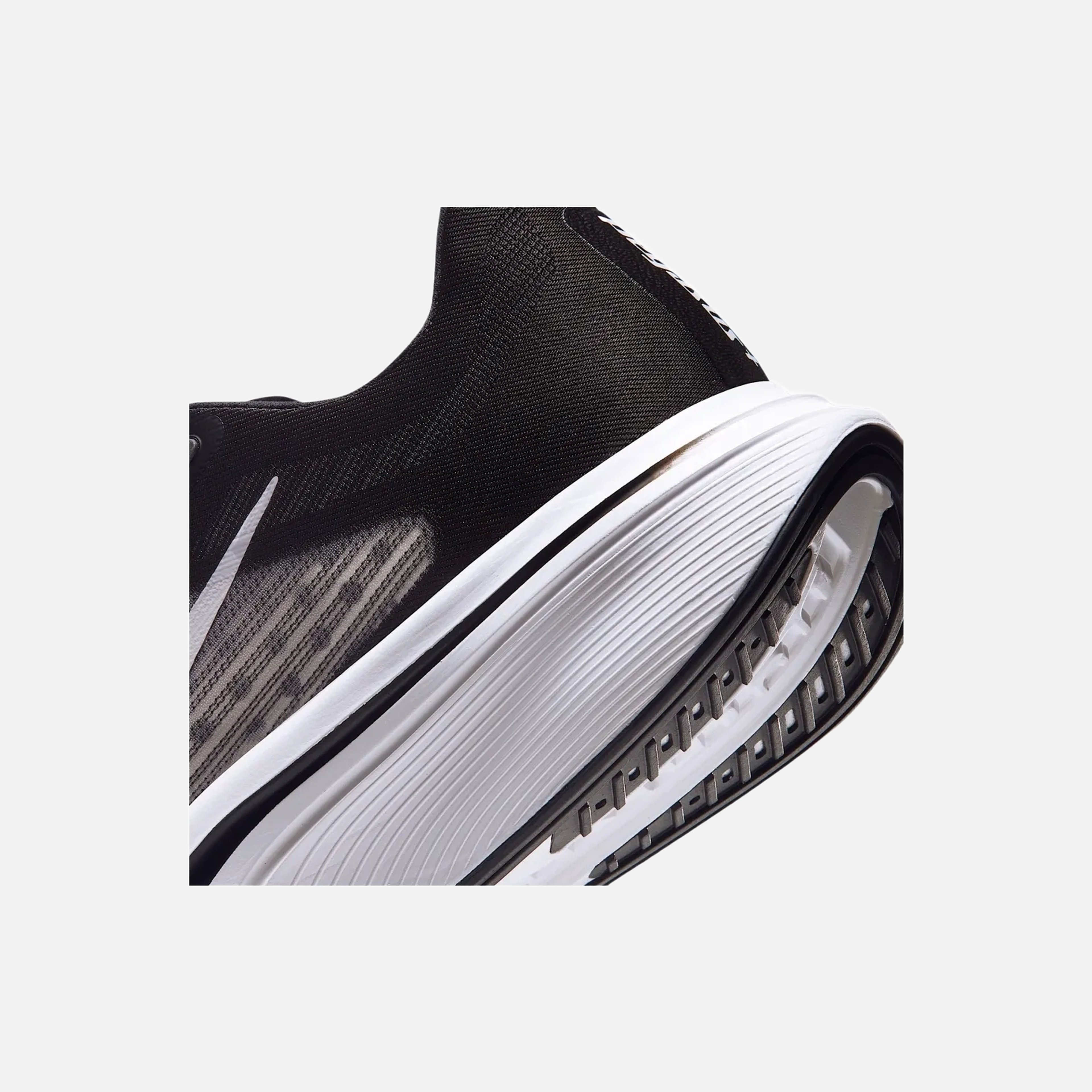 Nike Pegasus Plus 2 Kadın Koşu Ayakkabısı