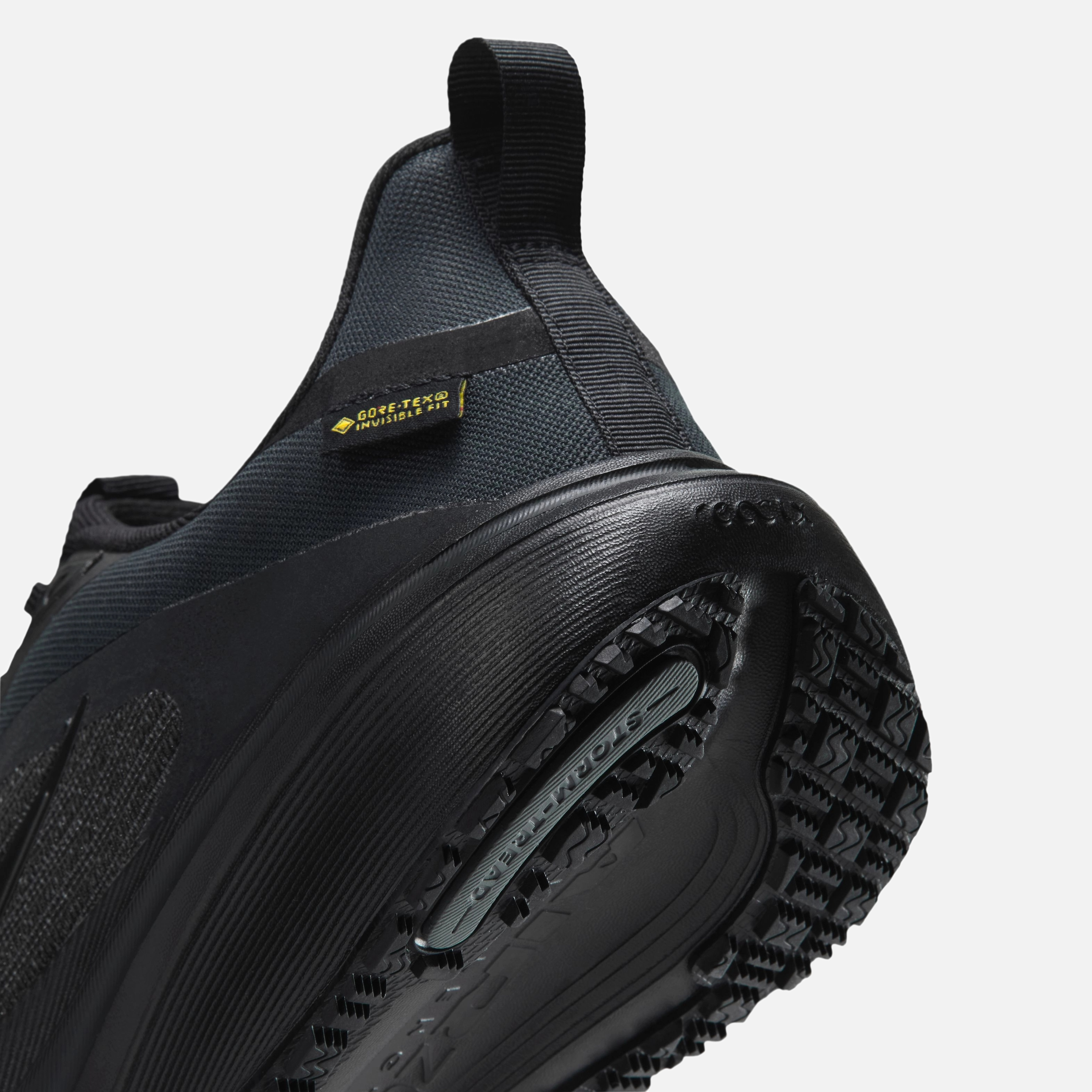 Nike Air Zoom Pegasus 42 GTX Kadın Koşu Ayakkabısı