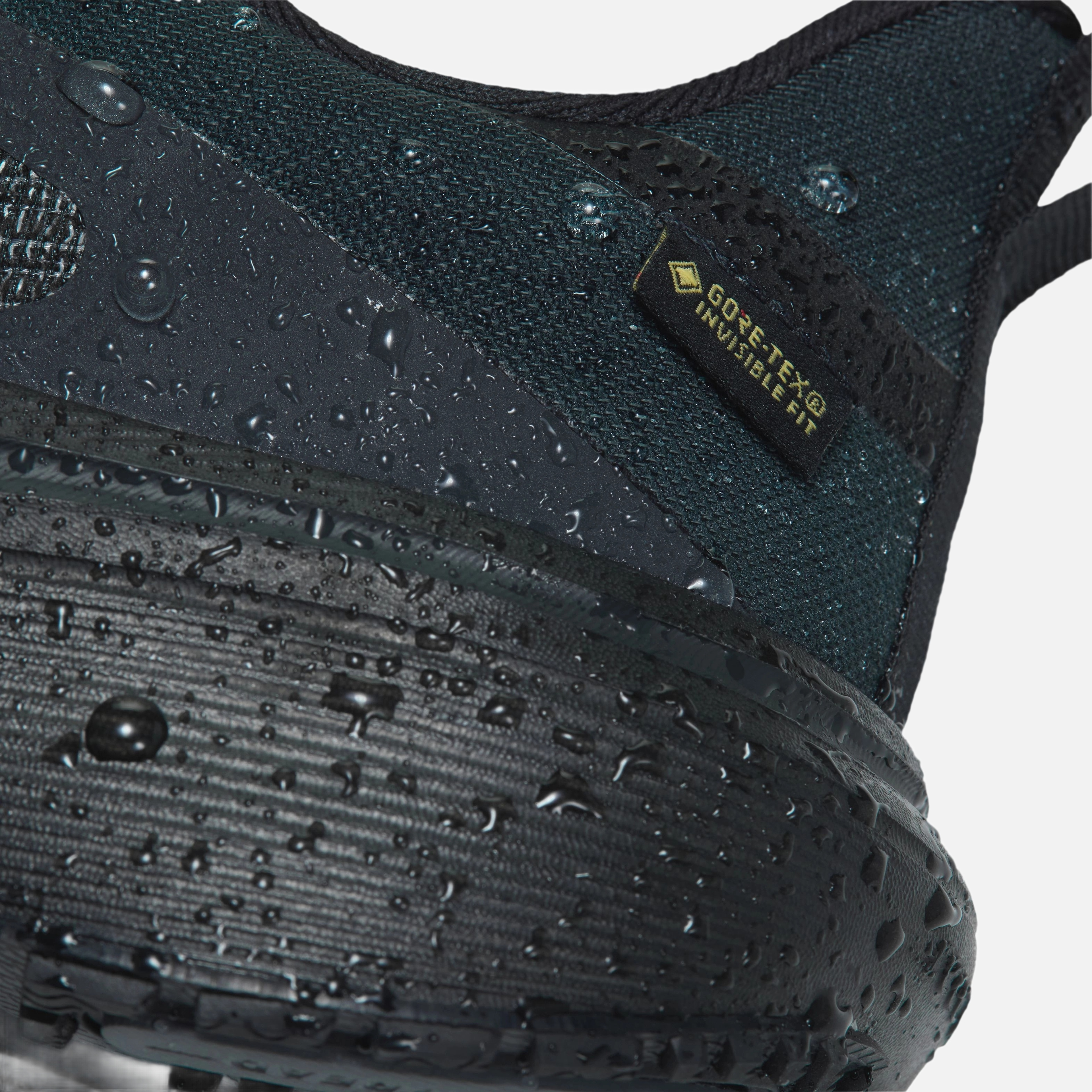 Nike Air Zoom Pegasus 42 GTX Kadın Koşu Ayakkabısı