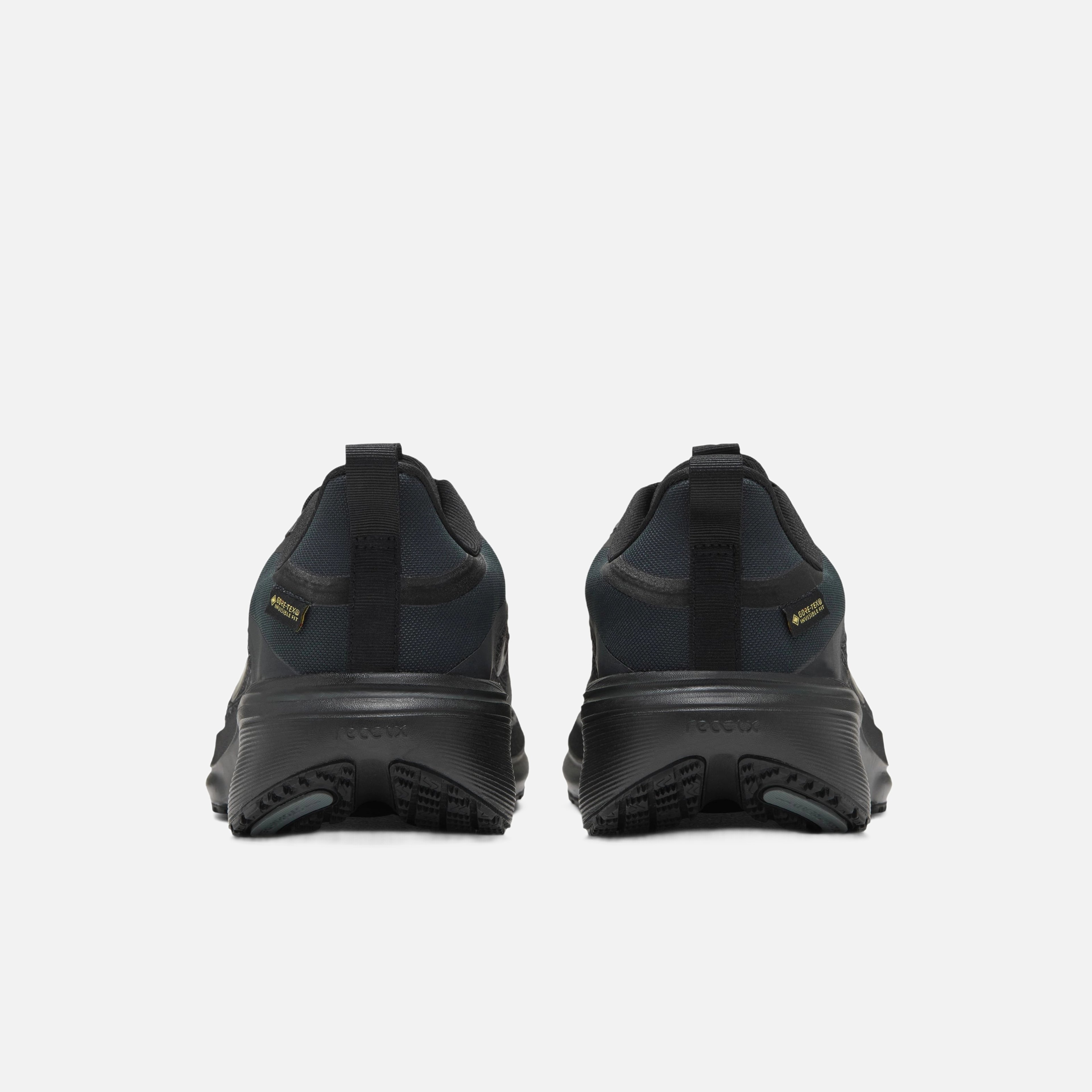Nike Air Zoom Pegasus 42 GTX Kadın Koşu Ayakkabısı