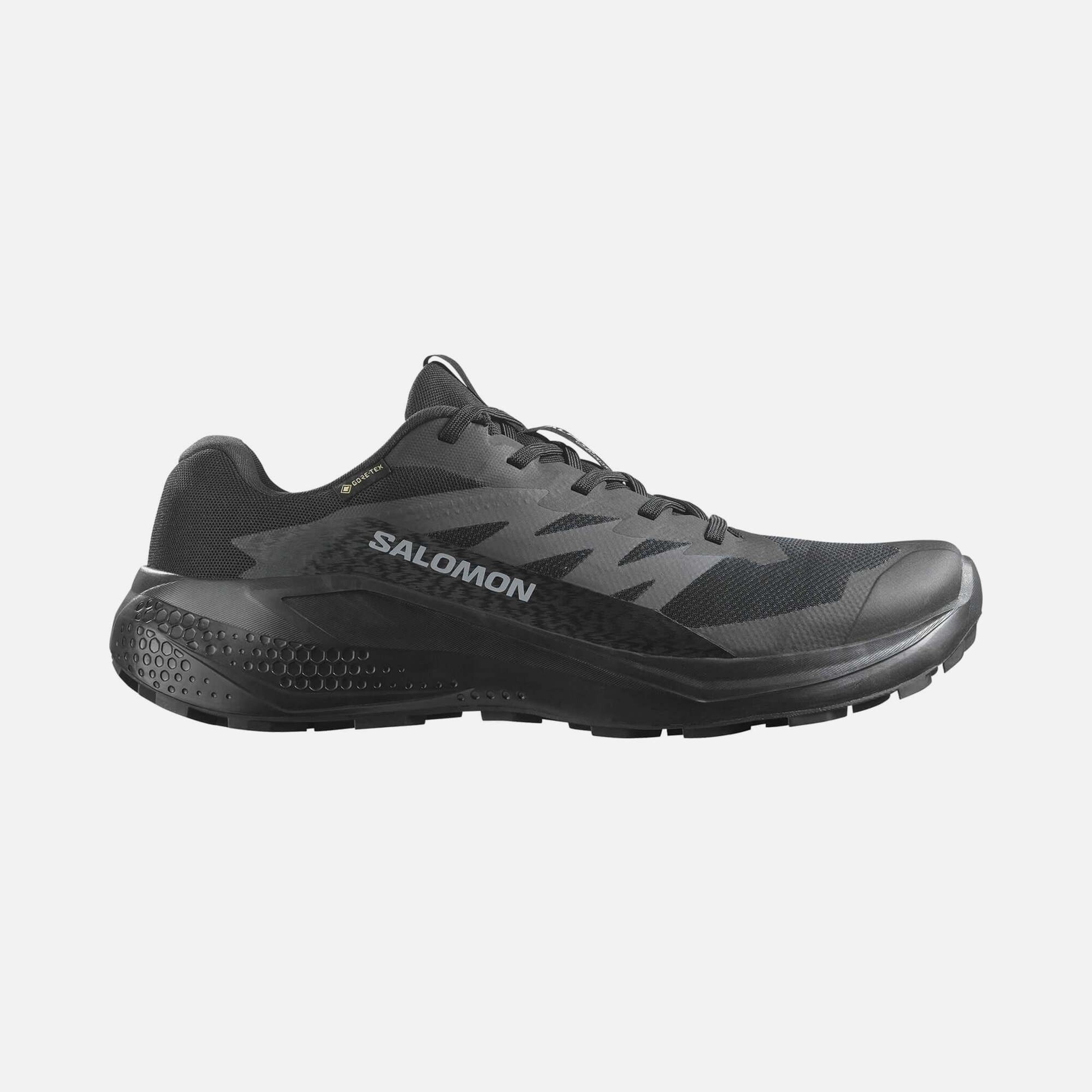 Мужские кроссовки Salomon Alphaglide Gore-Tex для походов