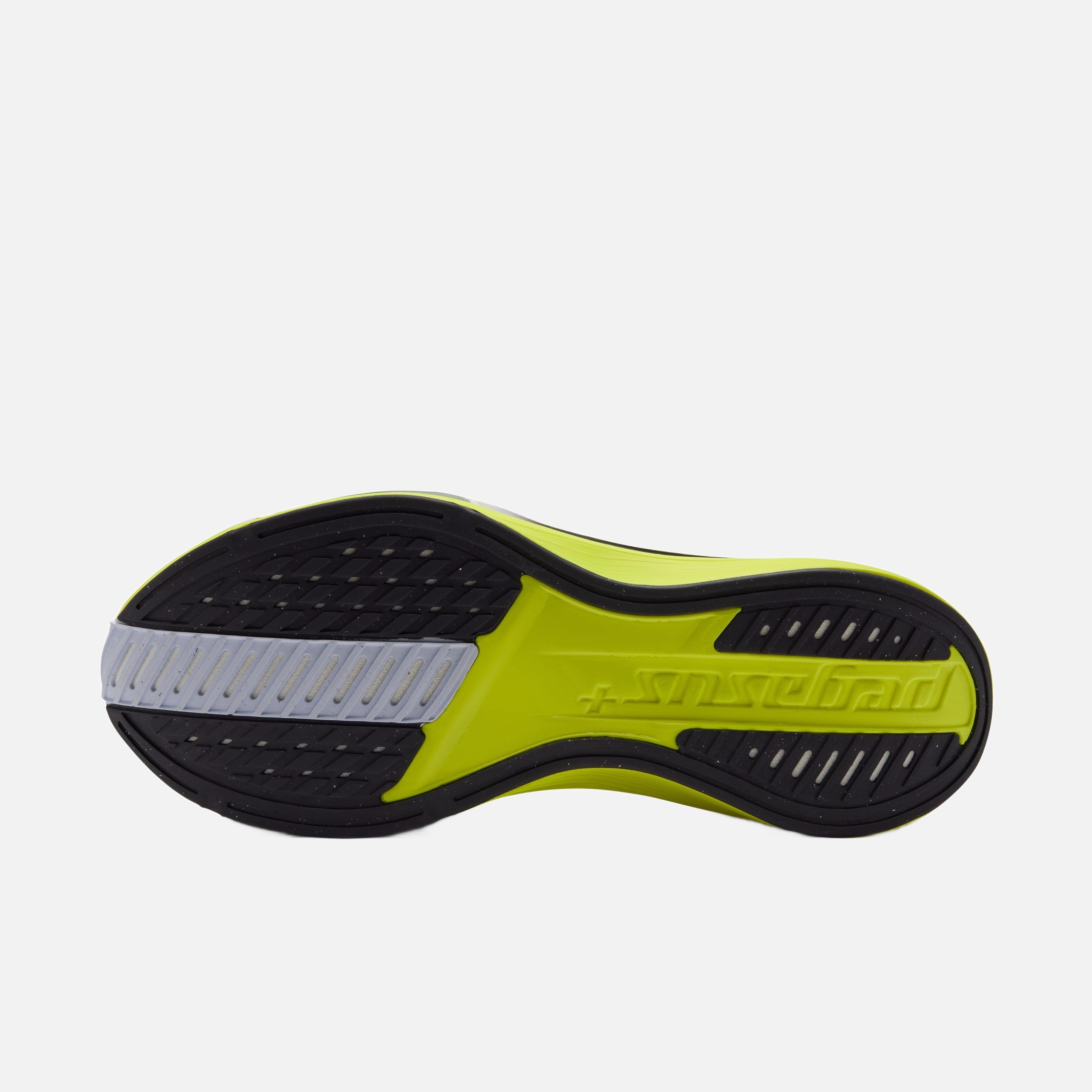 Nike Pegasus Plus 2 Kadın Koşu Ayakkabısı