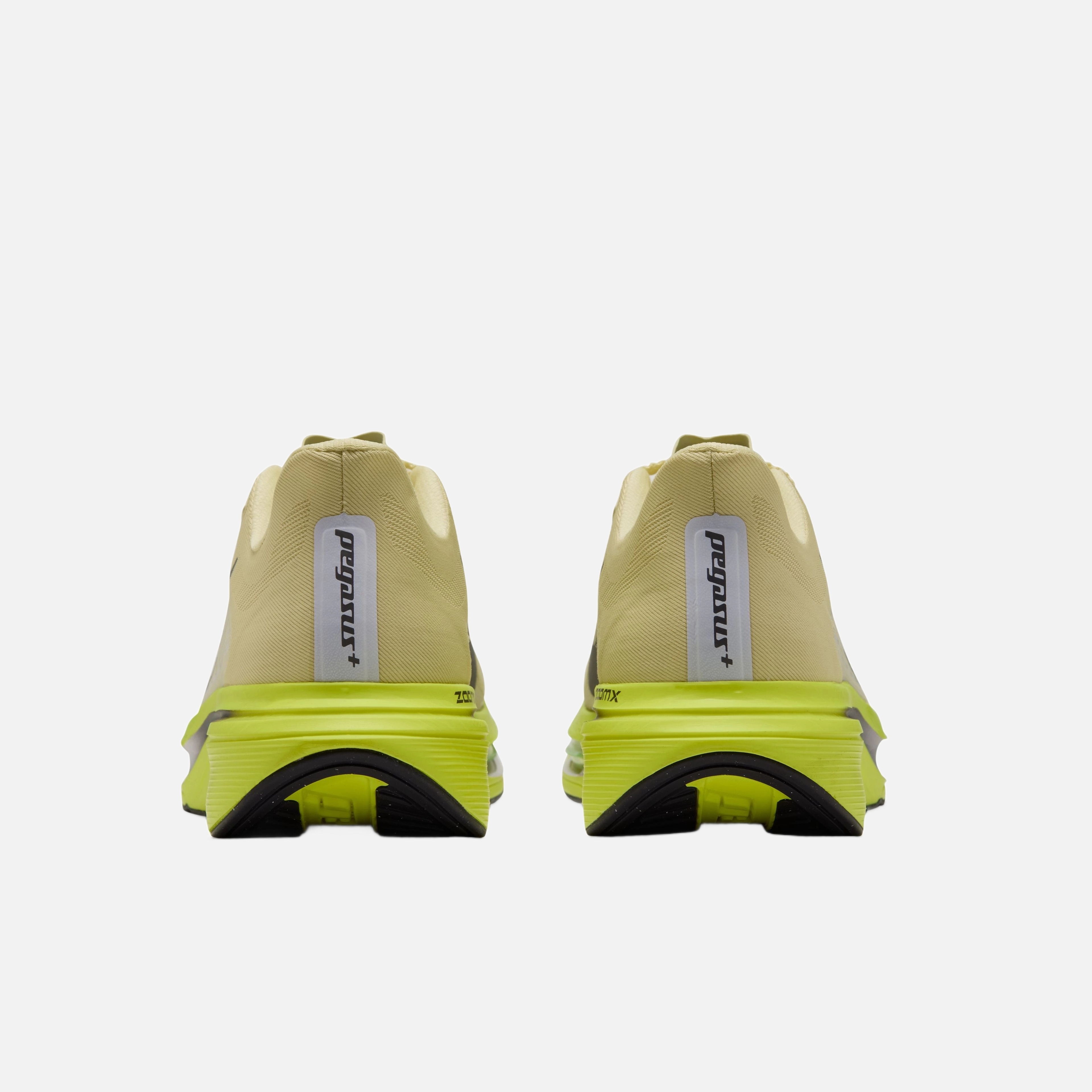Nike Pegasus Plus 2 Kadın Koşu Ayakkabısı