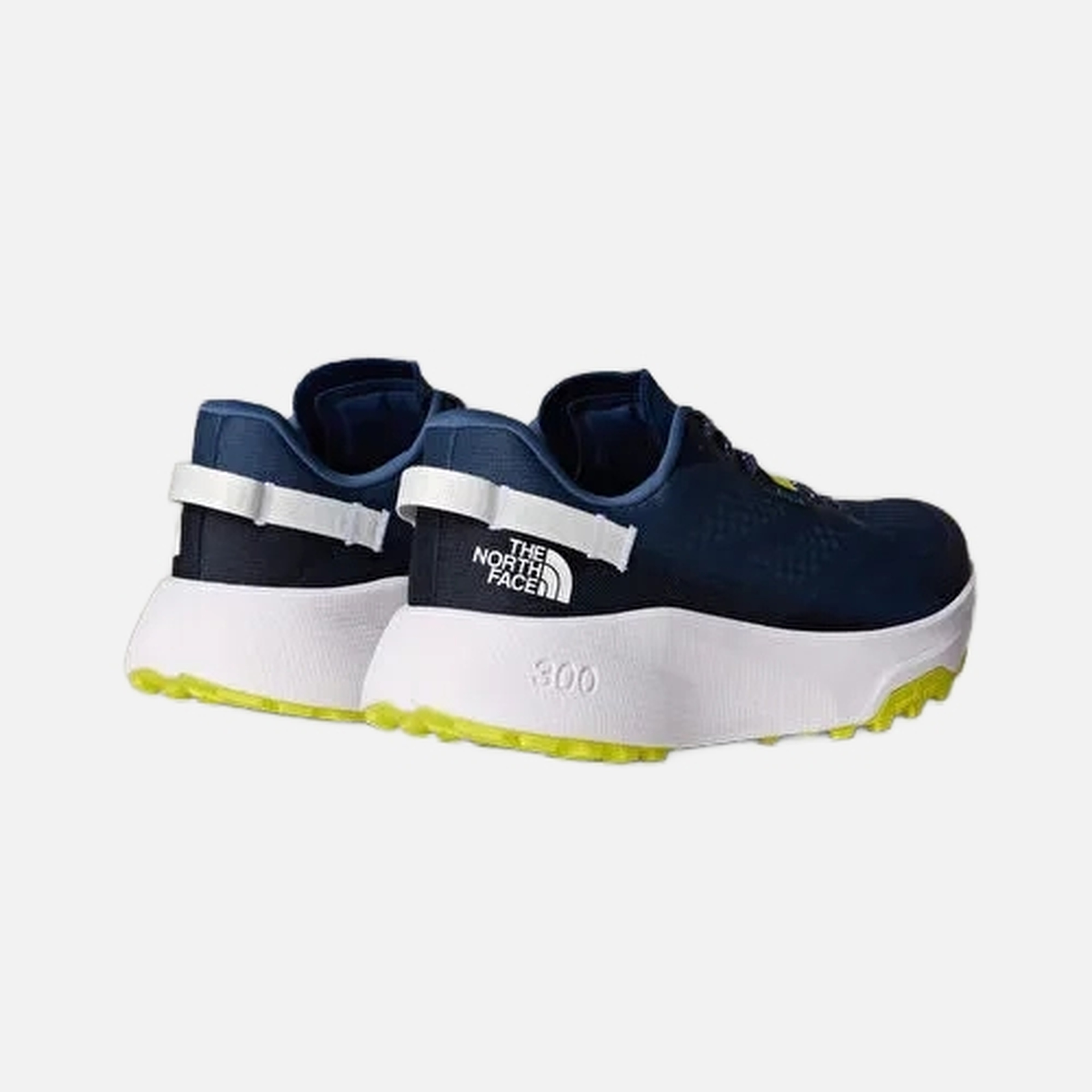 The North Face Altamesa 300 Erkek Spor Ayakkabı