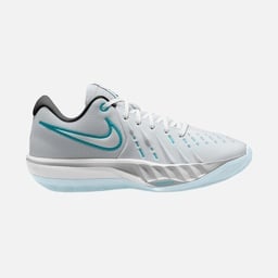 Nike Air Zoom G.T. Cut Academy 2 Erkek Basketbol Ayakkabısı
